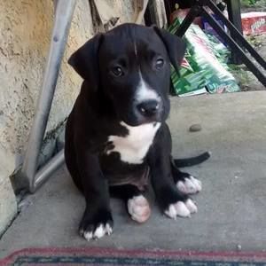 Meet your Posher, Keith